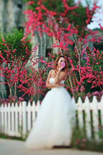 日本高清不卡码免费在线观看